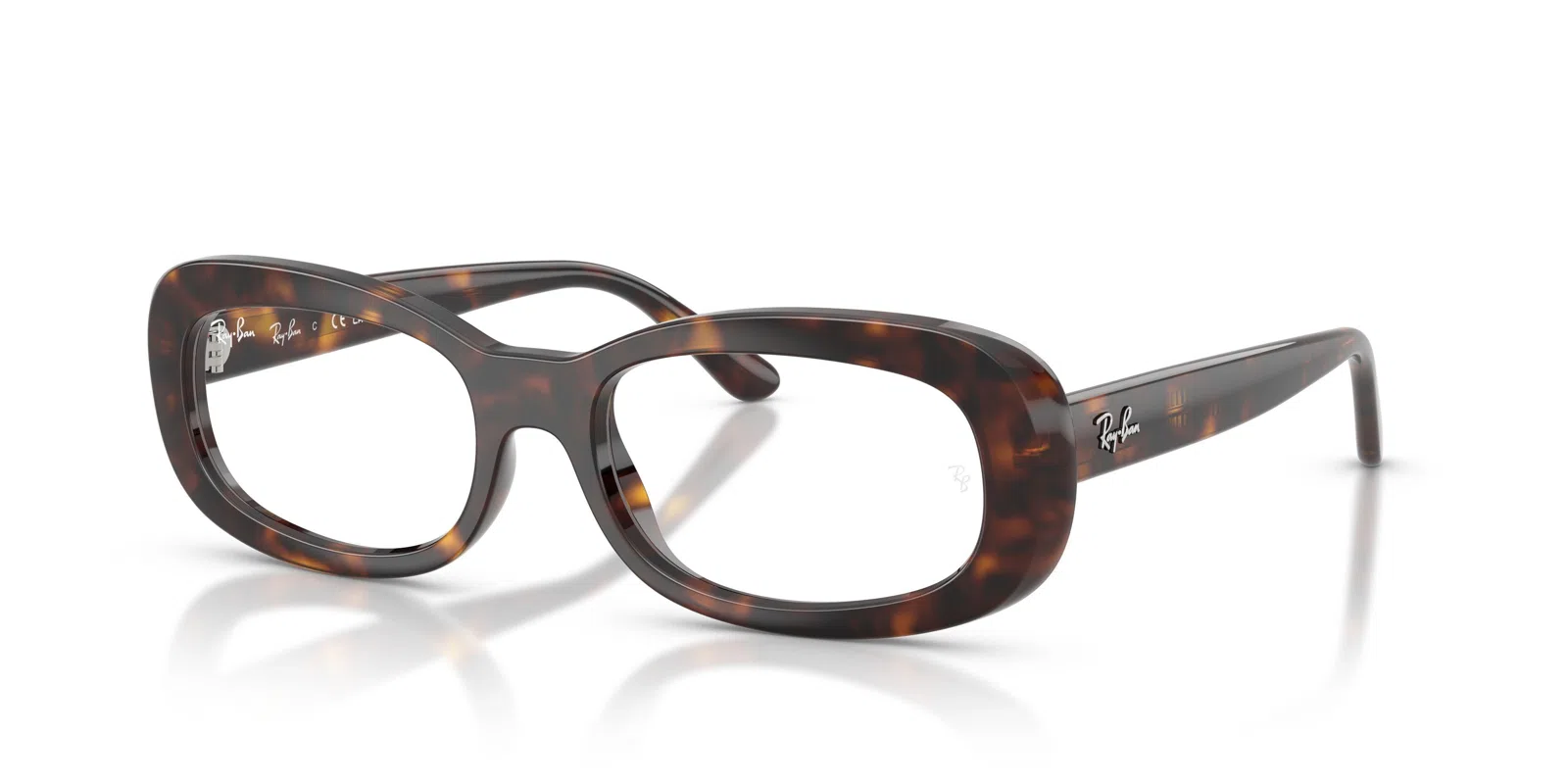 Ray-Ban 2221VF Eyeglasses - view 9